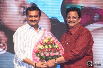 Nee Jathaga Nenundali Movie Audio Launch